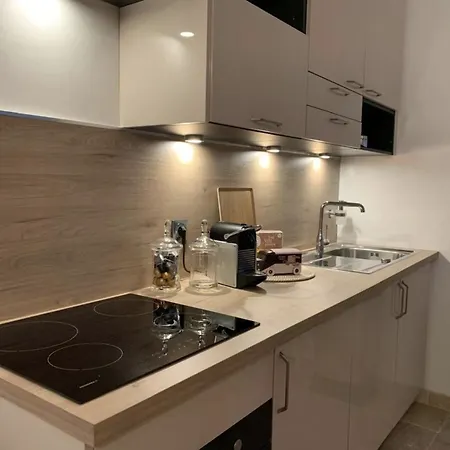 Apartmán La Carmen - Hypercentre De Remeš