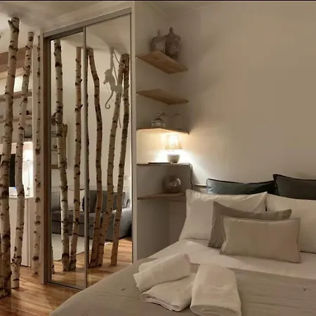 Apartmán La Carmen - Hypercentre De Remeš