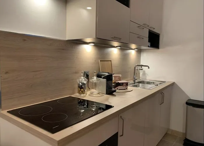 Appartement La Carmen - Hypercentre De Reims