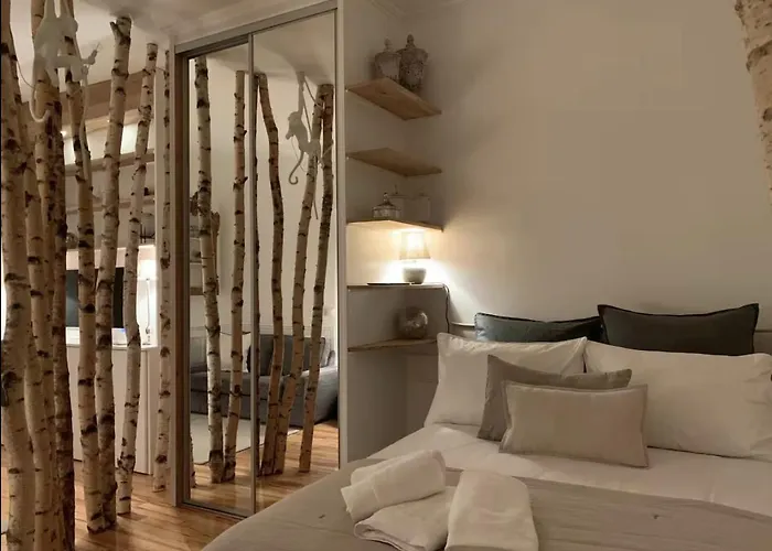 Appartement La Carmen - Hypercentre De Reims