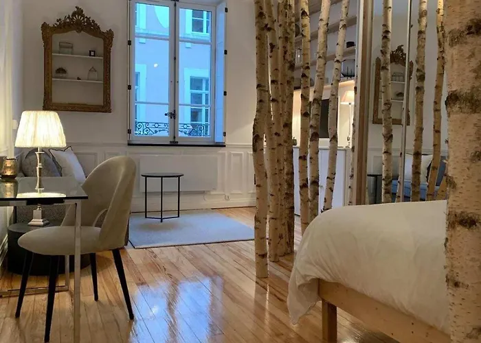 La Carmen - Hypercentre De Appartement Reims